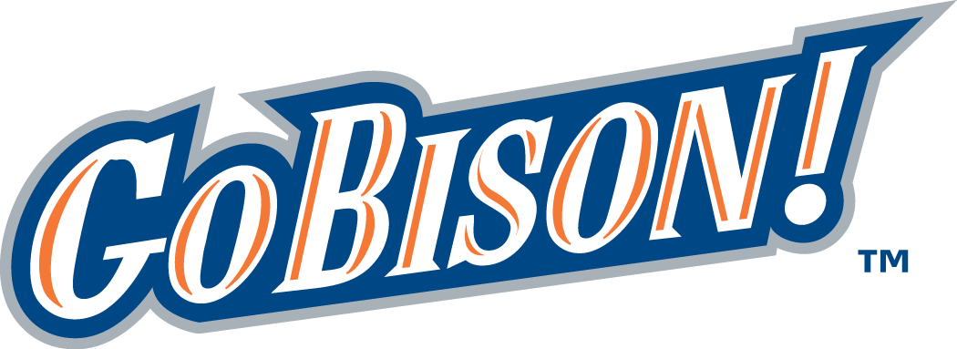 Bucknell Bison 2002-Pres Wordmark Logo v3 iron on transfers for T-shirts